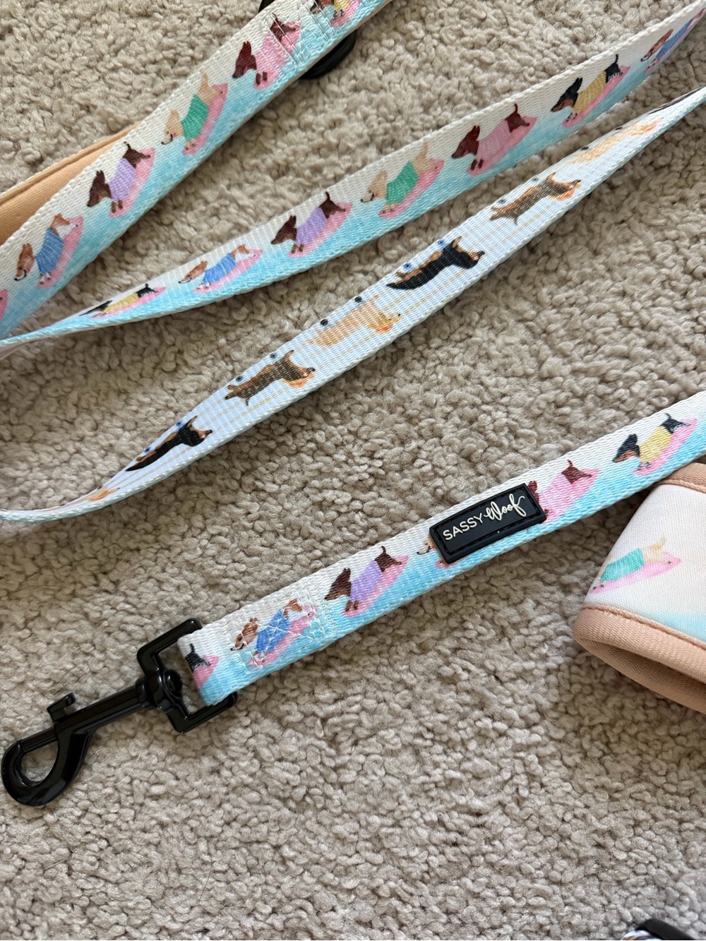 Sassy Woof Harness Leash Bundle - Picture 5 of 16